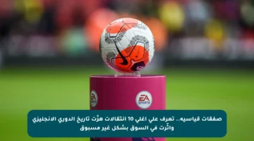 صفقات قياسية.. تعرف على أغلى 10 انتقالات هزّت تاريخ الدوري الإنجليزي وأثّرت في السوق بشكل غير مسبوق
